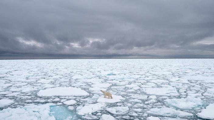 A British study reported that sea ice is melting twice as fast as expected