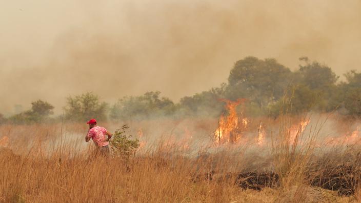 Enorme incendio arrasa el noreste de Argentina