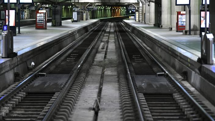 Chat écrasé par un TGV : quelle est la règle en cas d'animaux sur la voie