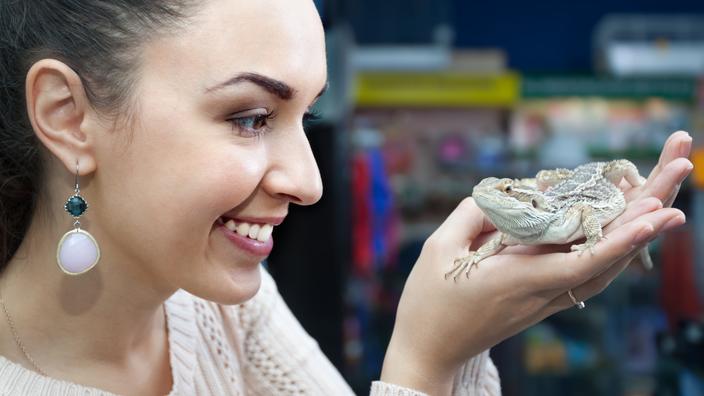 Mug Drôle Avec Dragon Barbu Pour Animal Domestique, Lézard