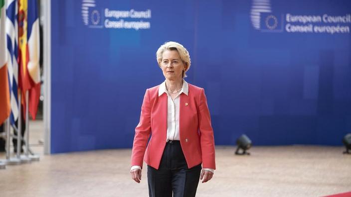 Européennes : La Figure D'Ursula Von Der Leyen électrise Le Duel Entre ...