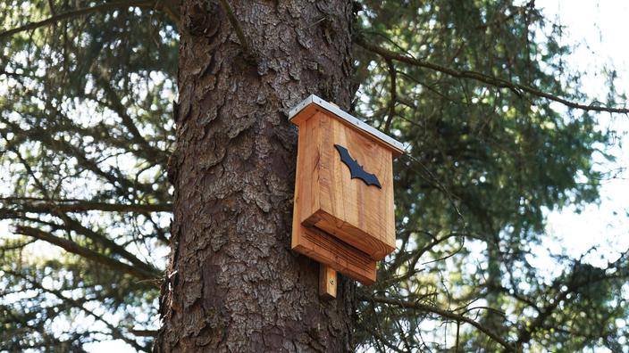 Nichoir à Chauves-Souris En Bois Dimweca - 24x8.3x9.3cm | Habitat Naturel Pour Protection Espèces