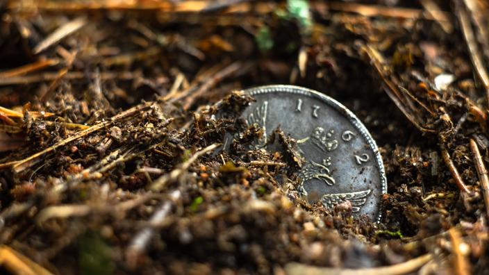 Que faire lorsque l'on trouve un trésor dans son jardin