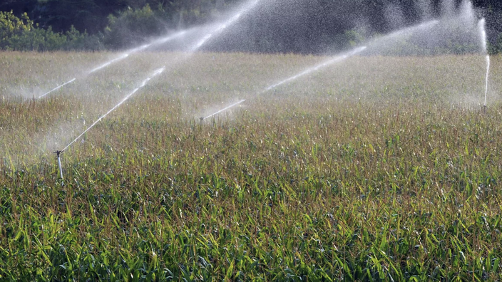 Climate Change Corn Heat-Sensitive, Water-Hungry, and on the Brink: In the Face of Climate ...