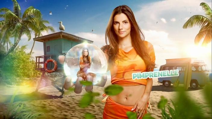 Denis Brogniart est mon père spirituel» : une candidate de «Secret Story» a  tenté le casting de «Koh-Lanta»