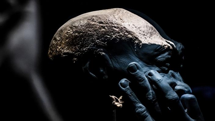 Les premiers fossiles de l’Homme de Java vont être restitués par les ...