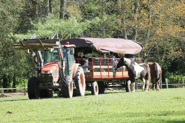 Parcs d'attractions, zoos, fermes : les plus beaux endroits où fêter