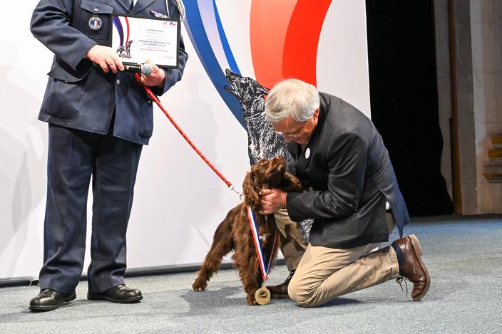 Troph es Des Chiens H ros Qui Sont Les 24 Animaux Hors Du Commun Qui troph-es-des-chiens-h-ros-qui-sont-les-24-animaux-hors-du-commun-qui