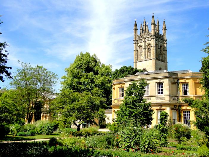 Capsules Neem & Curcuma Isha Life - 100+100, Détox Et Immunité, Végétales, Inde