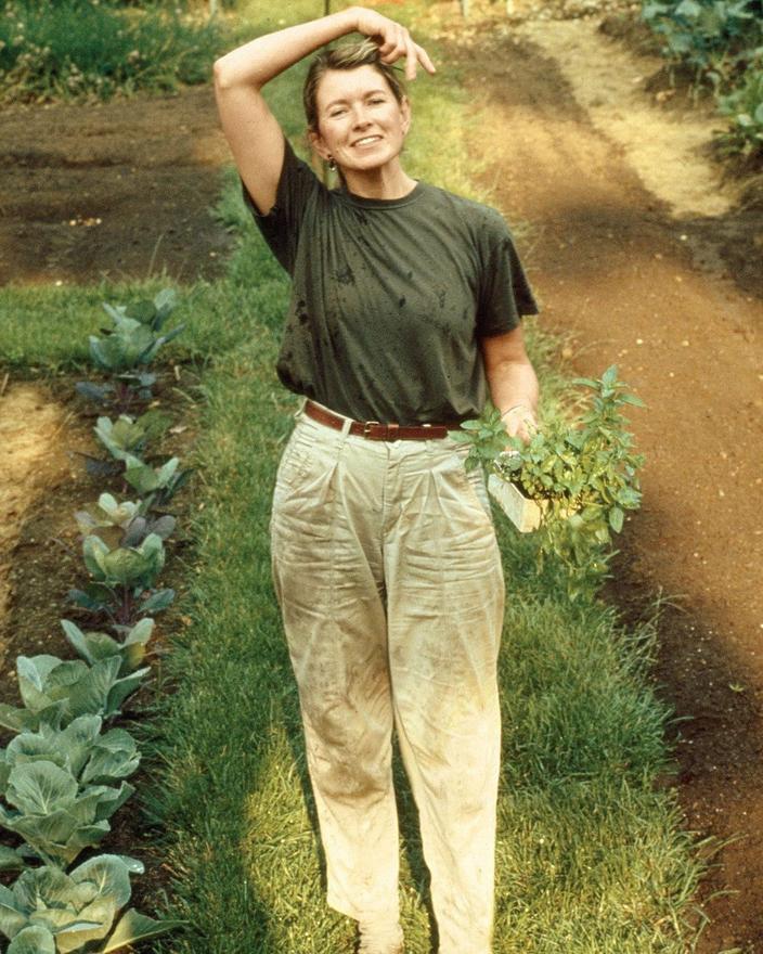 Beautiful Martha Stewart Une Icône Américaine Avis Abstract Nature Beautiful Martha Stewart Une Icône Américaine Avis Abstract Nature