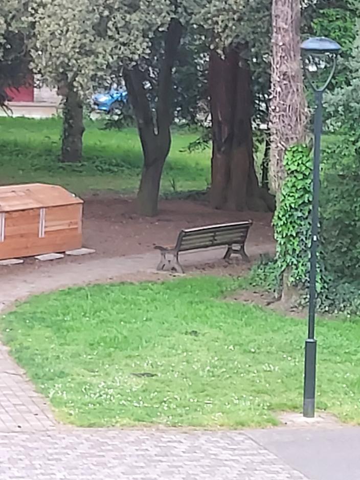 «Ce que je crains, ce sont les règlements de comptes» à Nantes, les