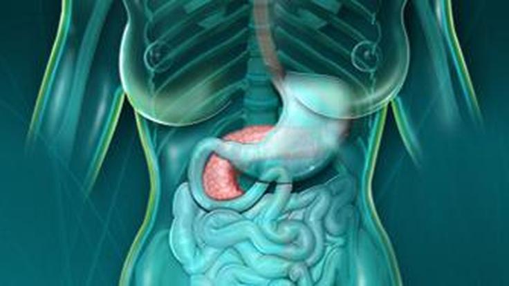 Lipase : comment analyser et comprendre les résultats ?