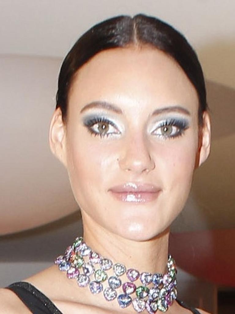 Adoption chaton bruxelles