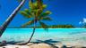 Travel in Polynesia: the circuits, hotels and tailor-made stays of our partners