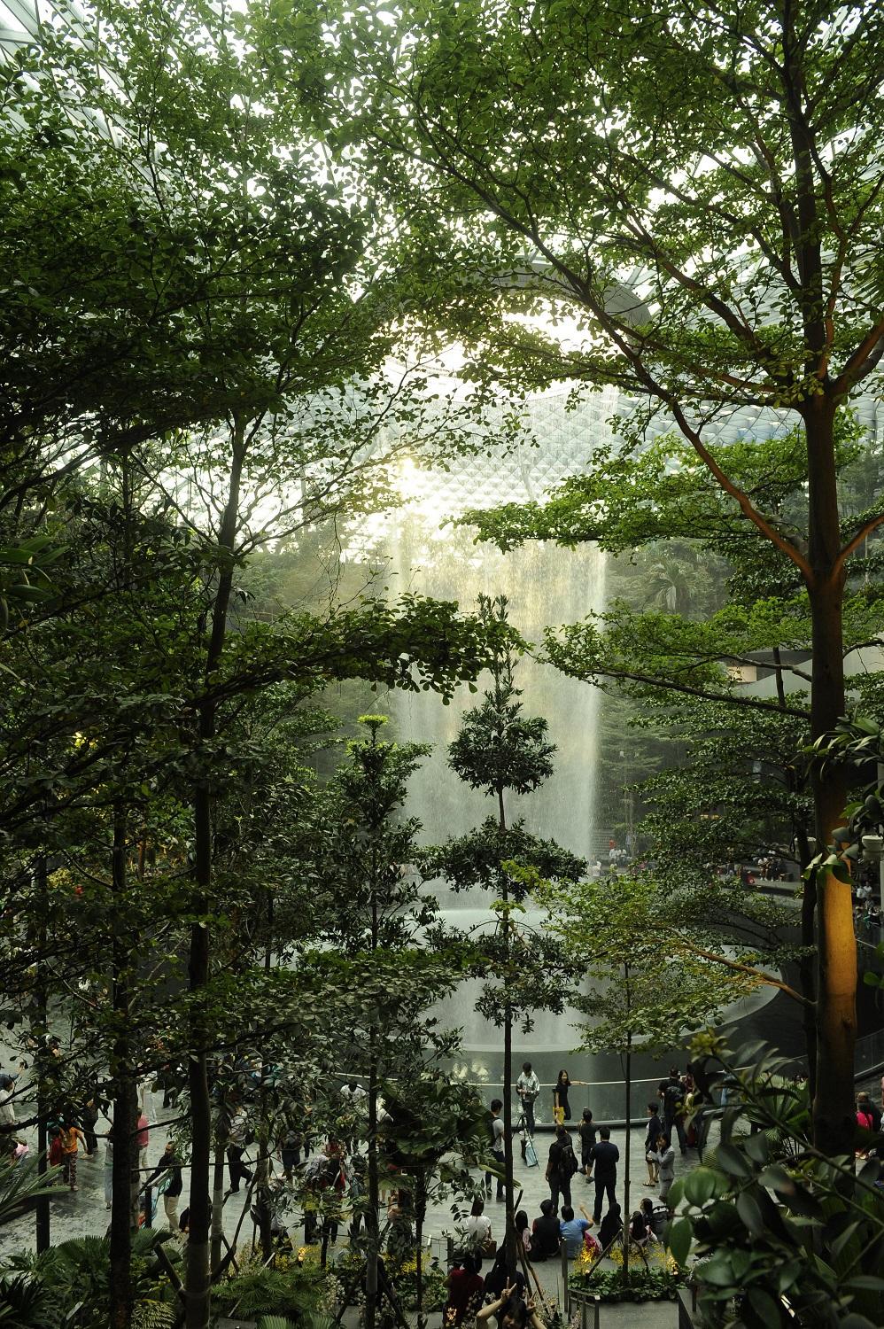 singapour de jardins suspendus en quartiers atypiques nos incontournables dans la cite etat