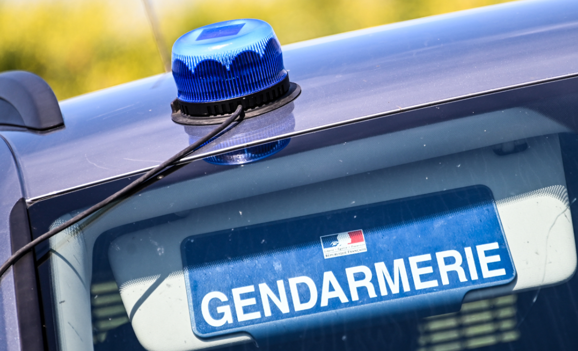 Haut-Rhin : un homme soupçonné d'avoir séquestré pendant des mois son fils de 39 ans