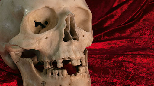 Égaré depuis 300 ans, le crâne en marbre signé du Bernin identifié à Dresde