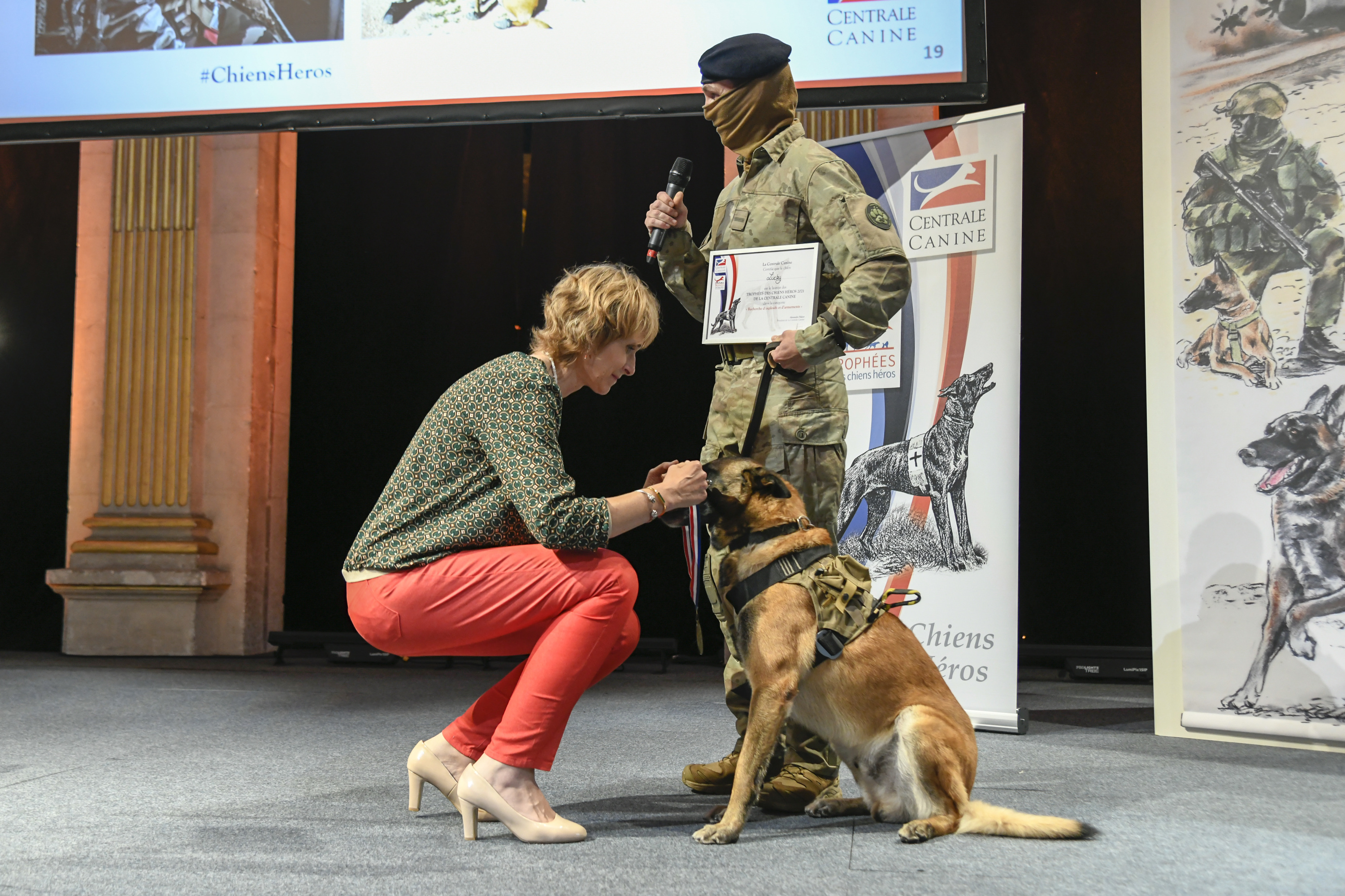 À la mairie de Paris, 17 chiens héros récompensés pour leur ...