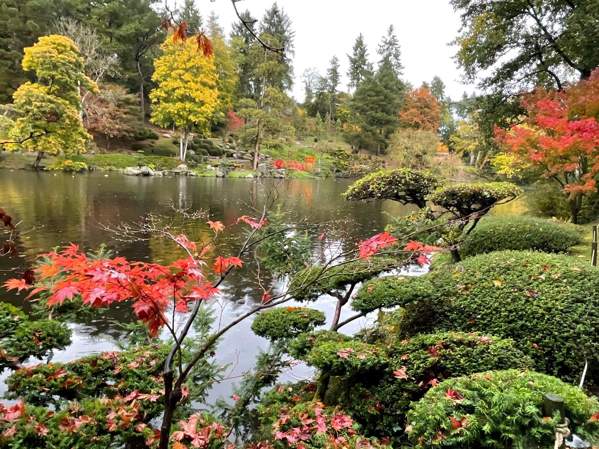 Le parc oriental de Maulévrier aux couleurs de l'automne