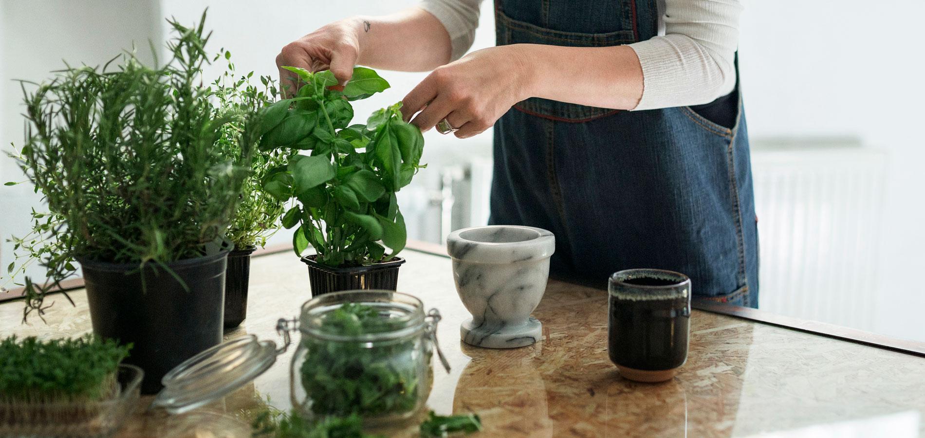 Inspiration: 10 idées pour créer un jardin aromatique dans sa cuisine