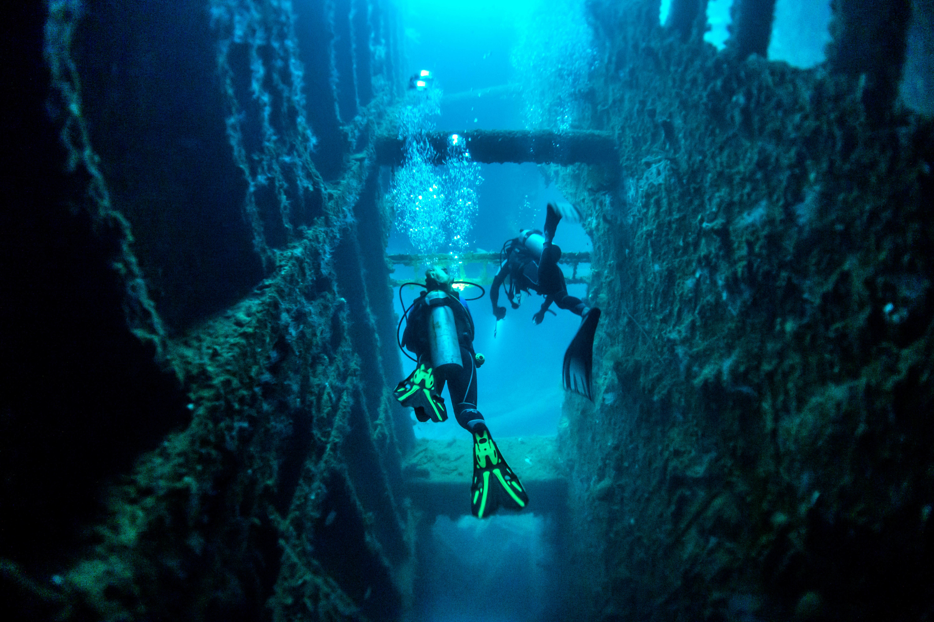 La plongée sous-marine se rêve plus écolo pour son 24e salon, qui