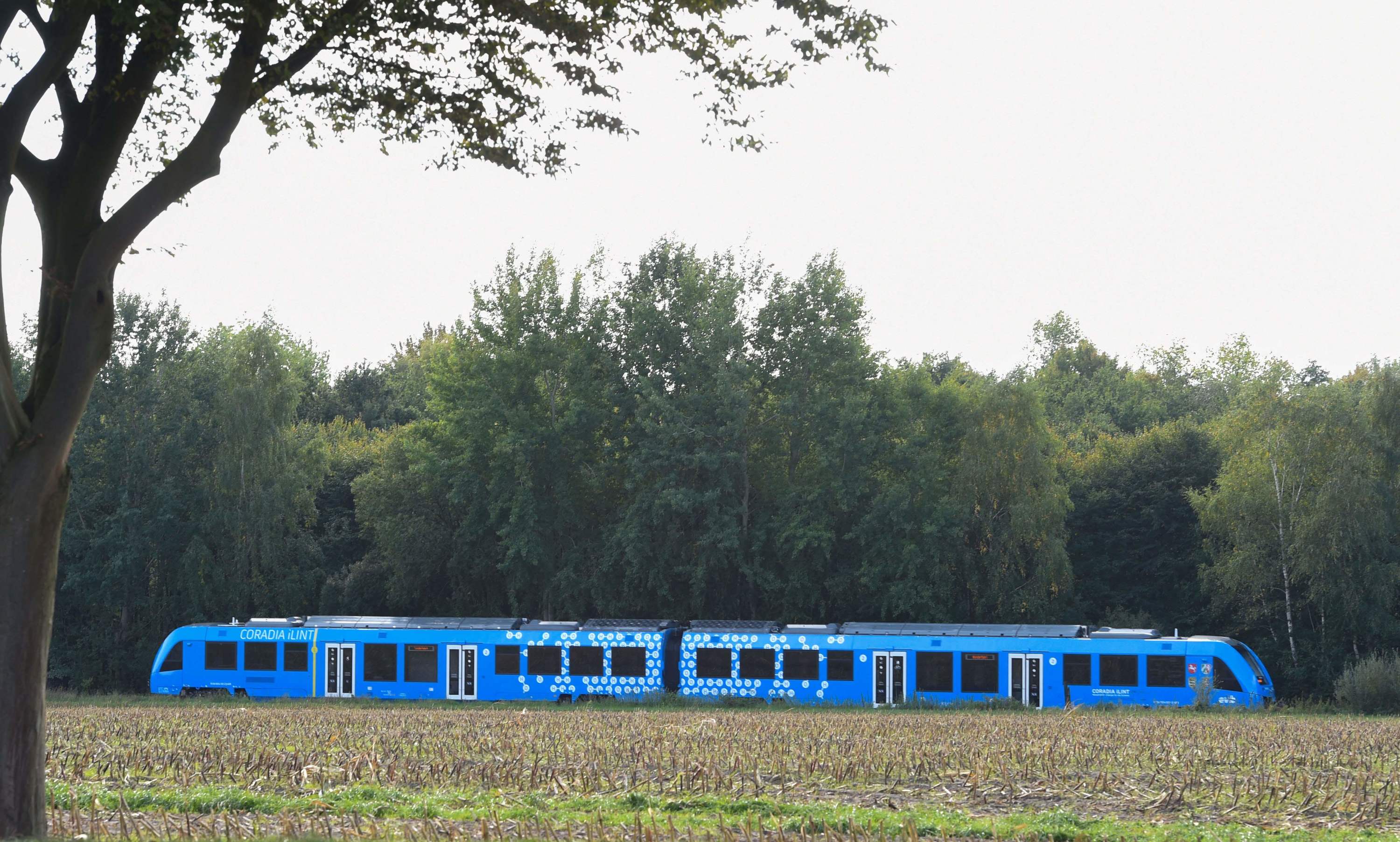 L'Allemagne lance une flotte de trains 100% à hydrogène, une première  mondiale