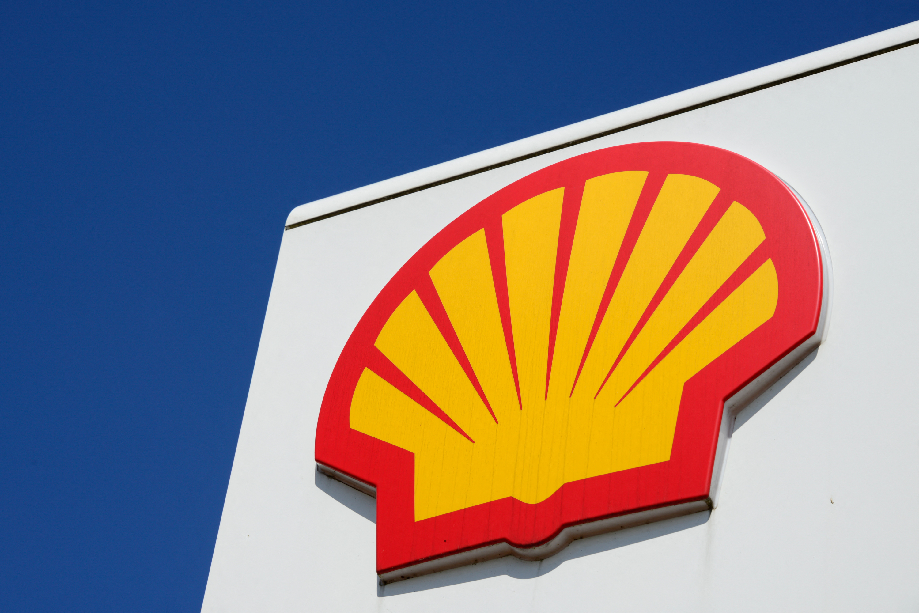 Afrique Du Sud La Justice Confirme L Interdiction D Exploration Sismique Pour Shell