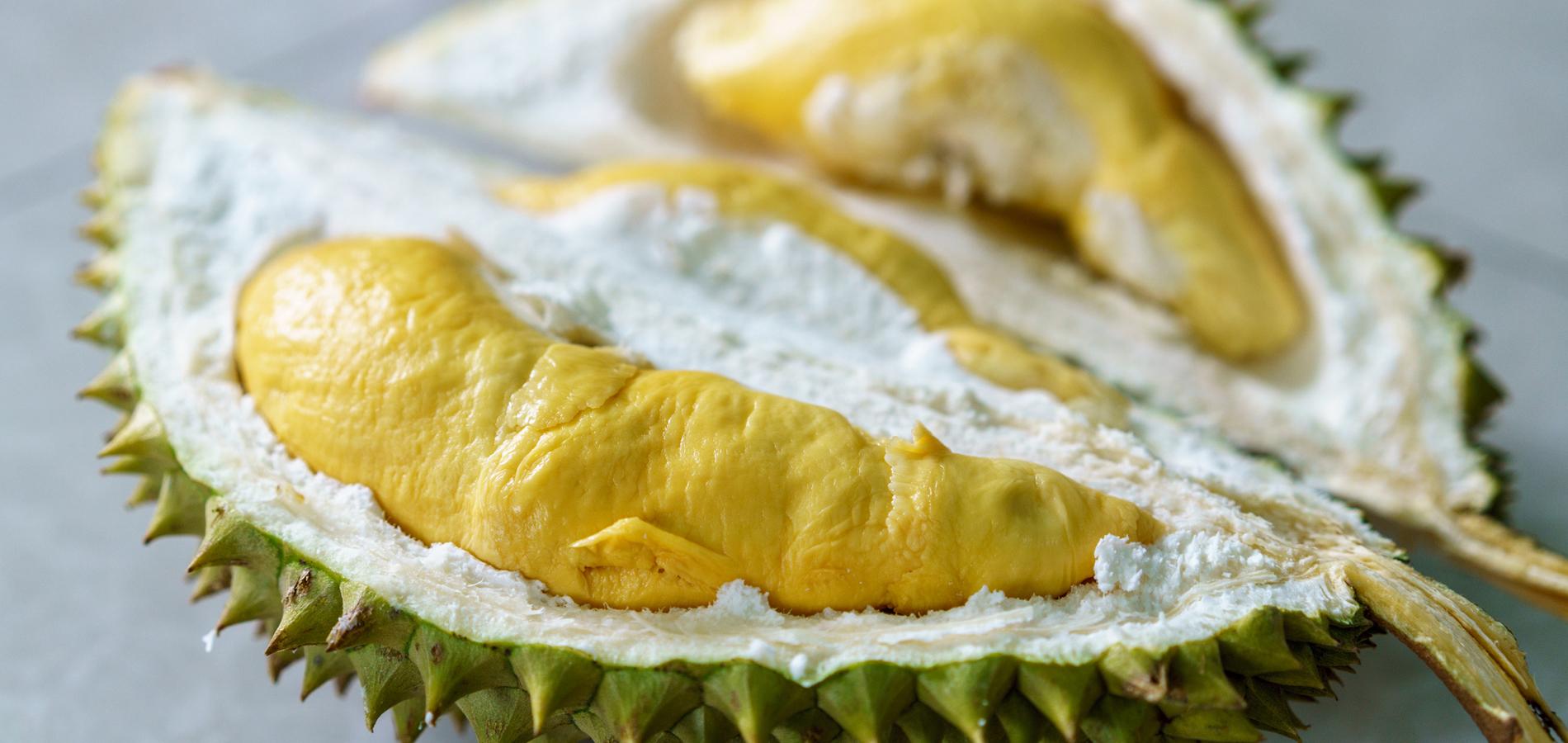 Durian, le roi des fruits, révèle les secrets de sa puanteur !