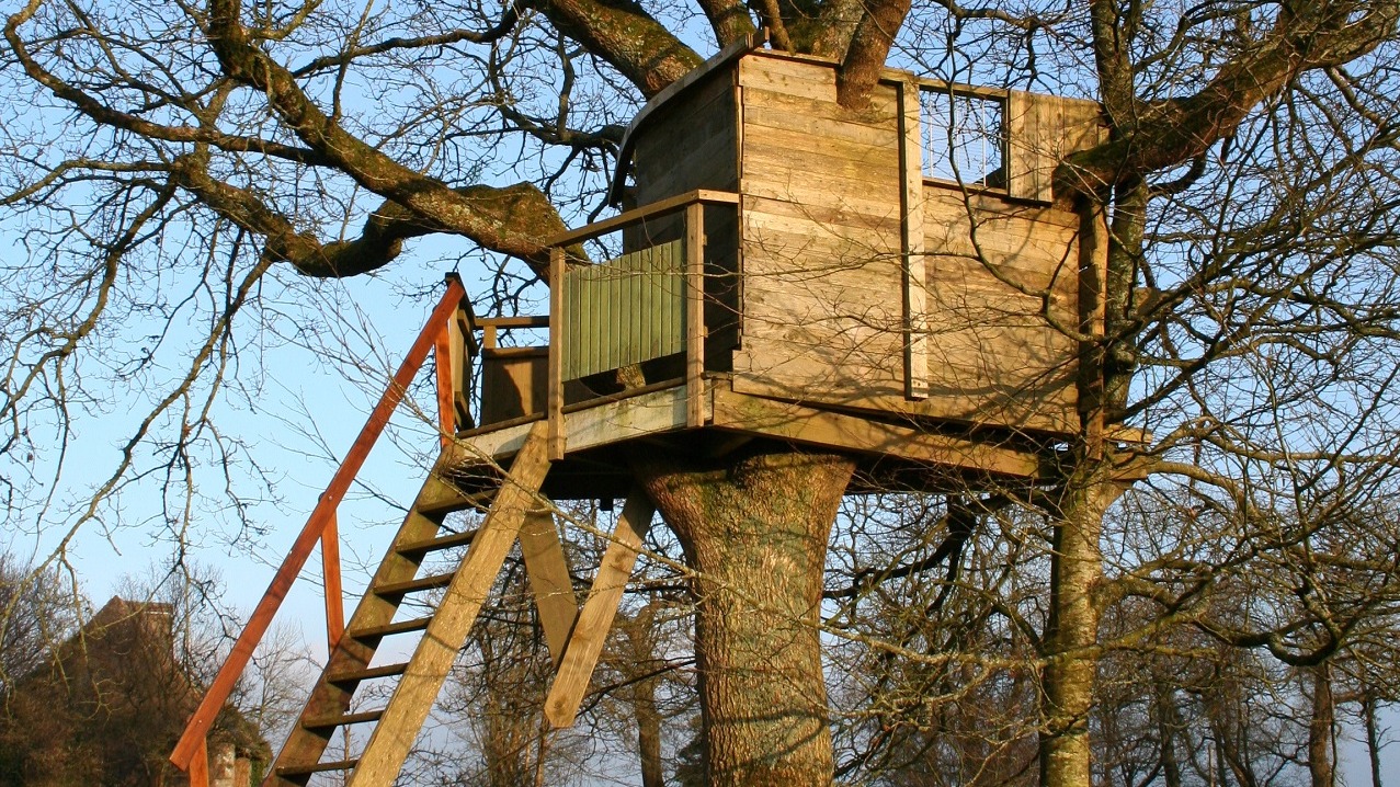 Construction d'une cabane dans les arbres : conseils et étapes