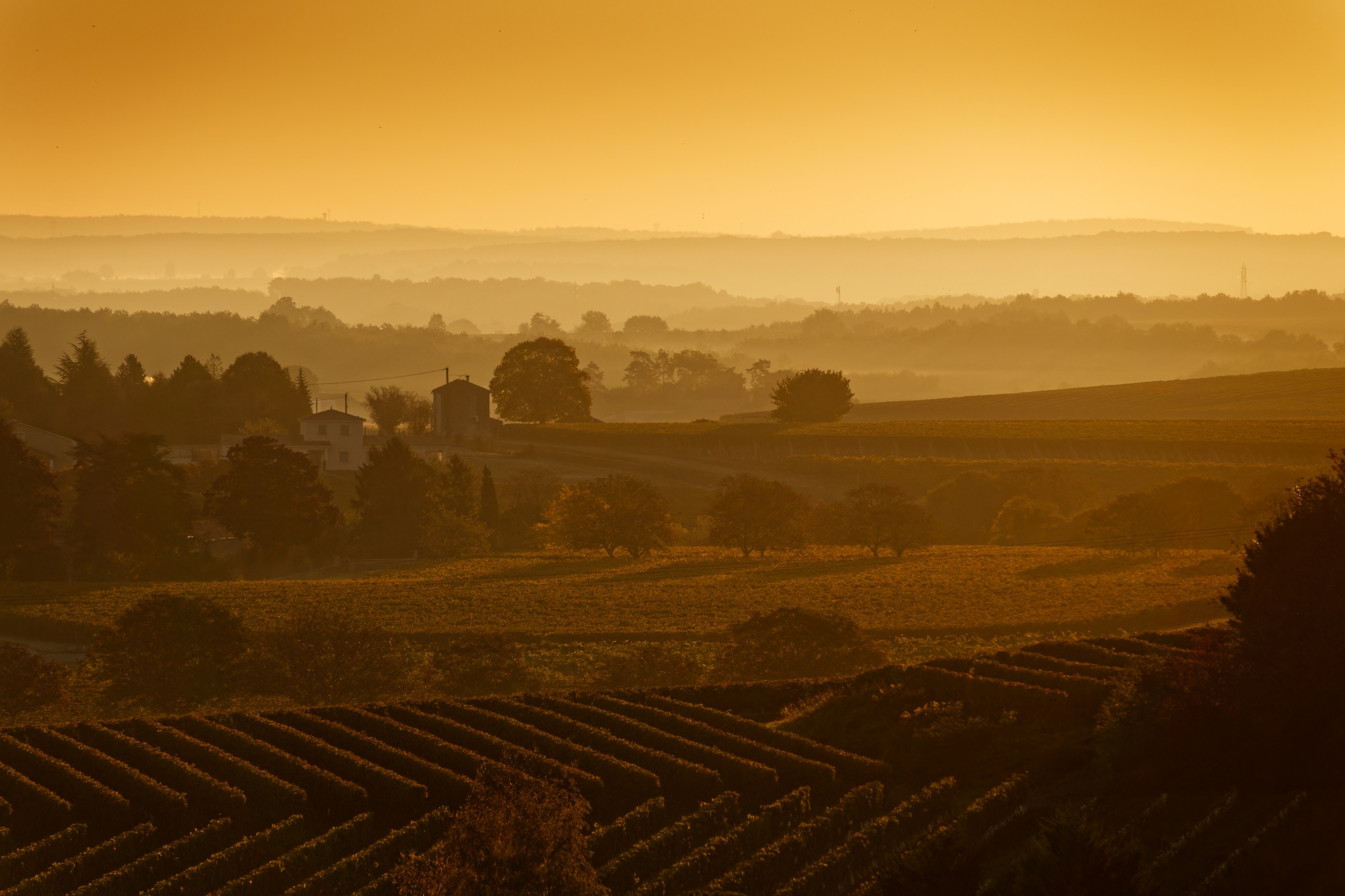 Carnet de voyage à Cognac, entre ambre et lumière