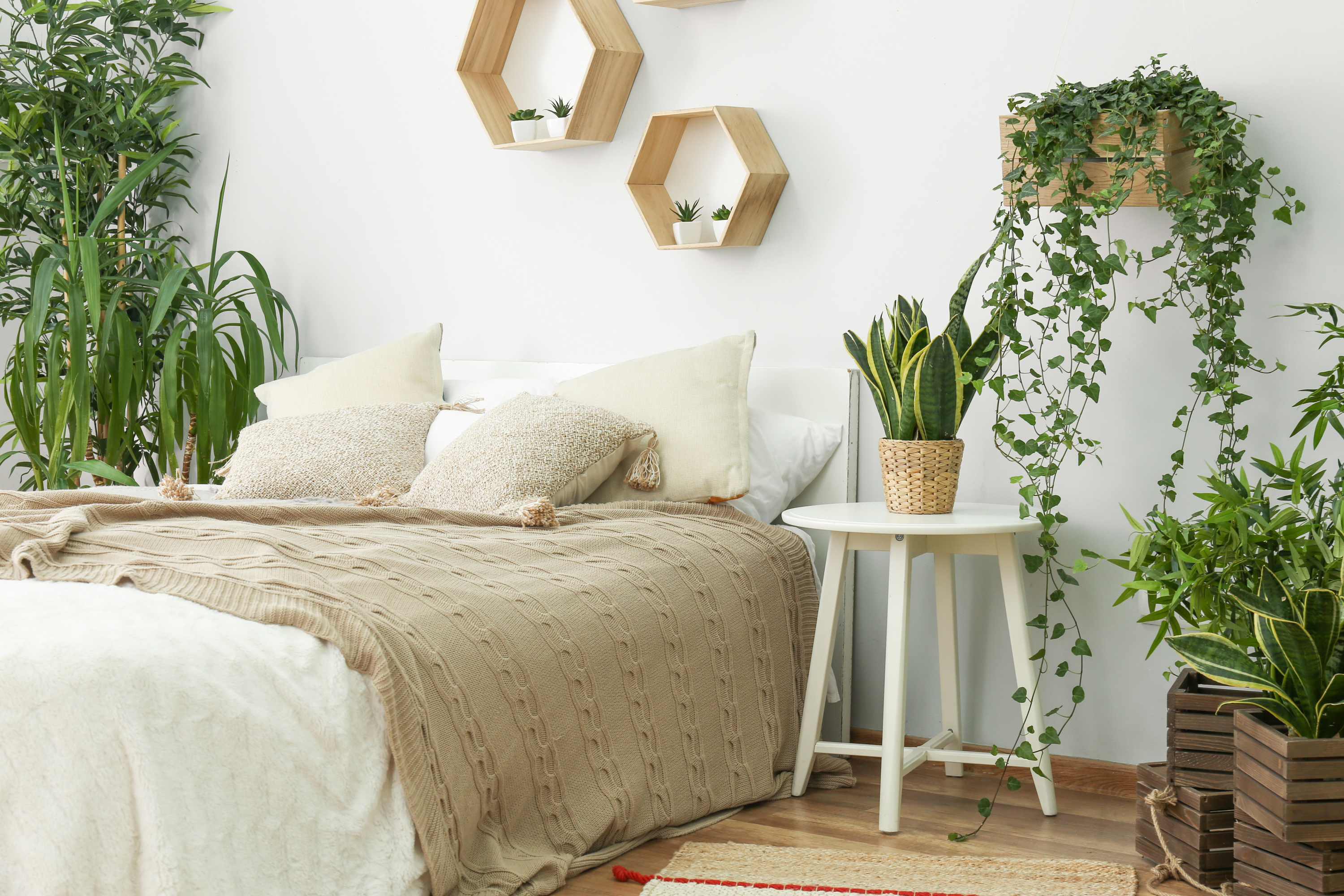 Comment décorer sa chambre avec des plantes ?