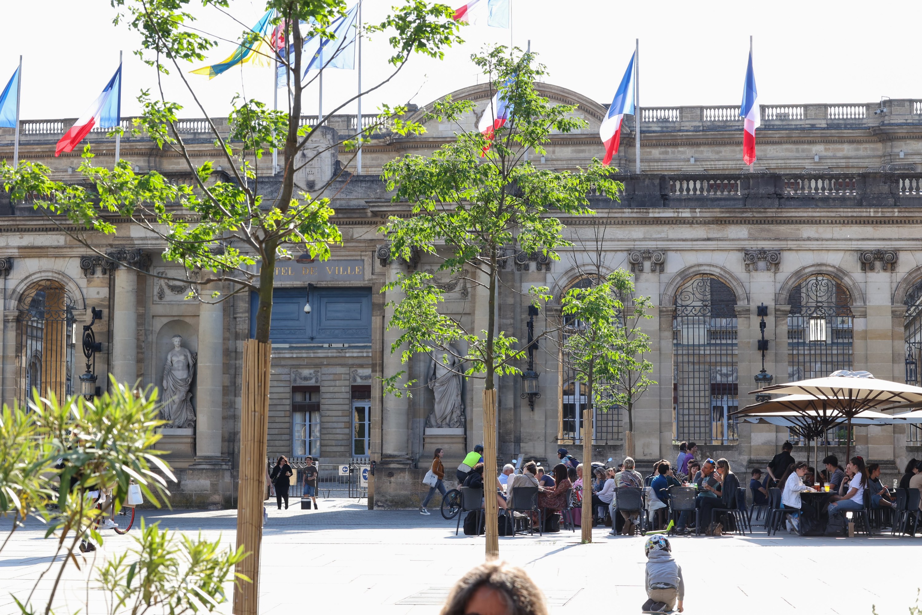 Bordeaux : la mairie écologiste prévoit de planter plus de 13.000 arbres  d'ici la fin de l'année 2023