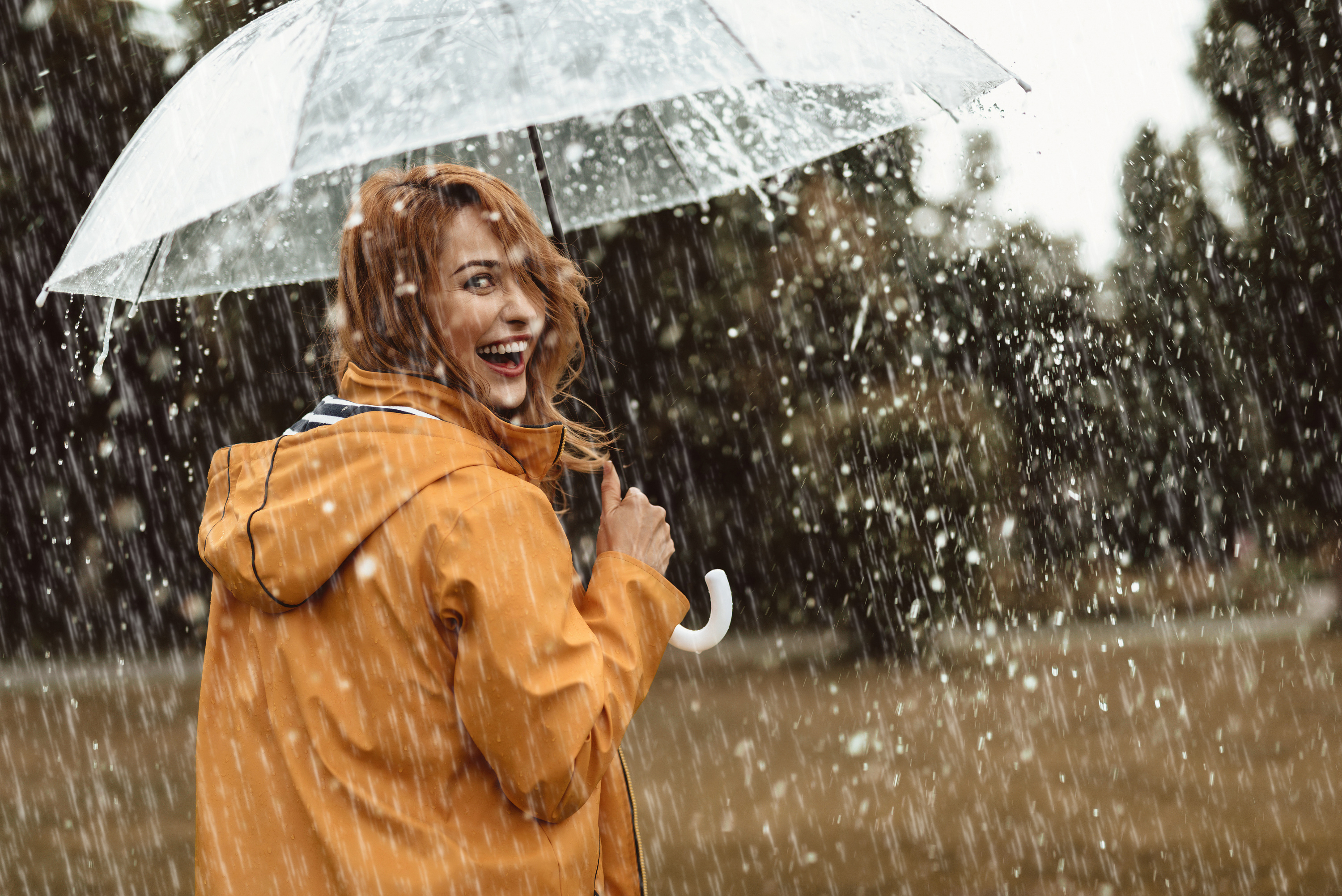 Comment se forme la pluie ?