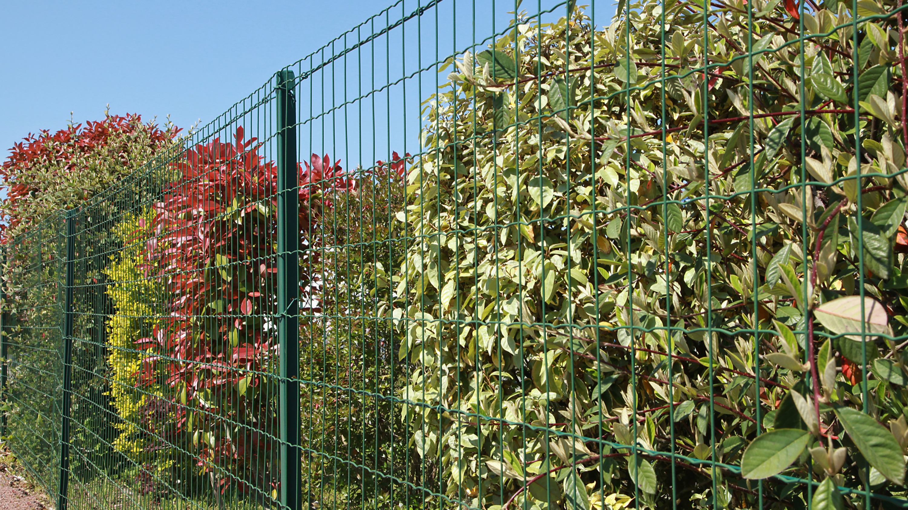 Pose de grillage en clôture de jardin - Vente clôture jardin Ste
