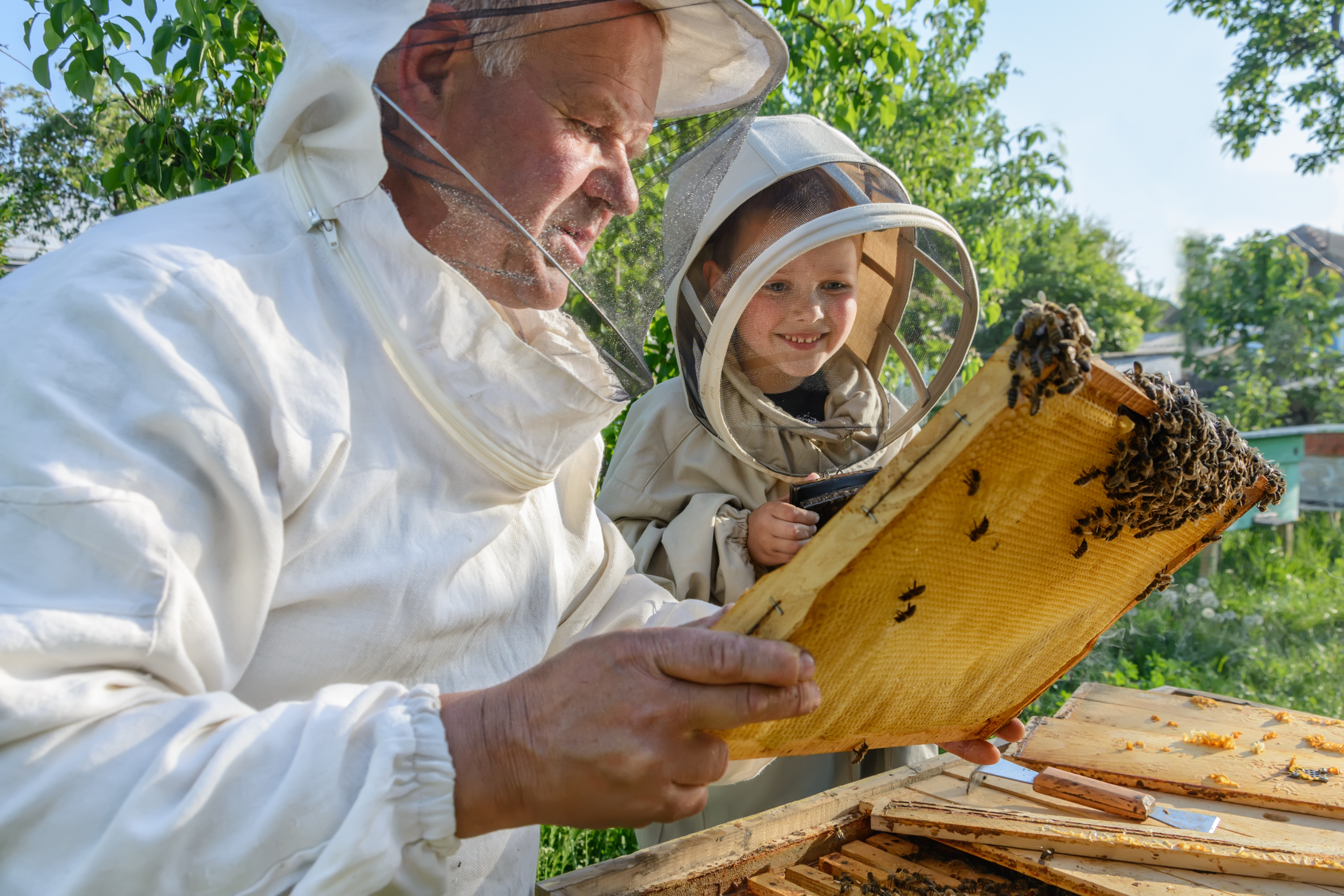Vente en ligne matériel apicole - Provence Apiculture