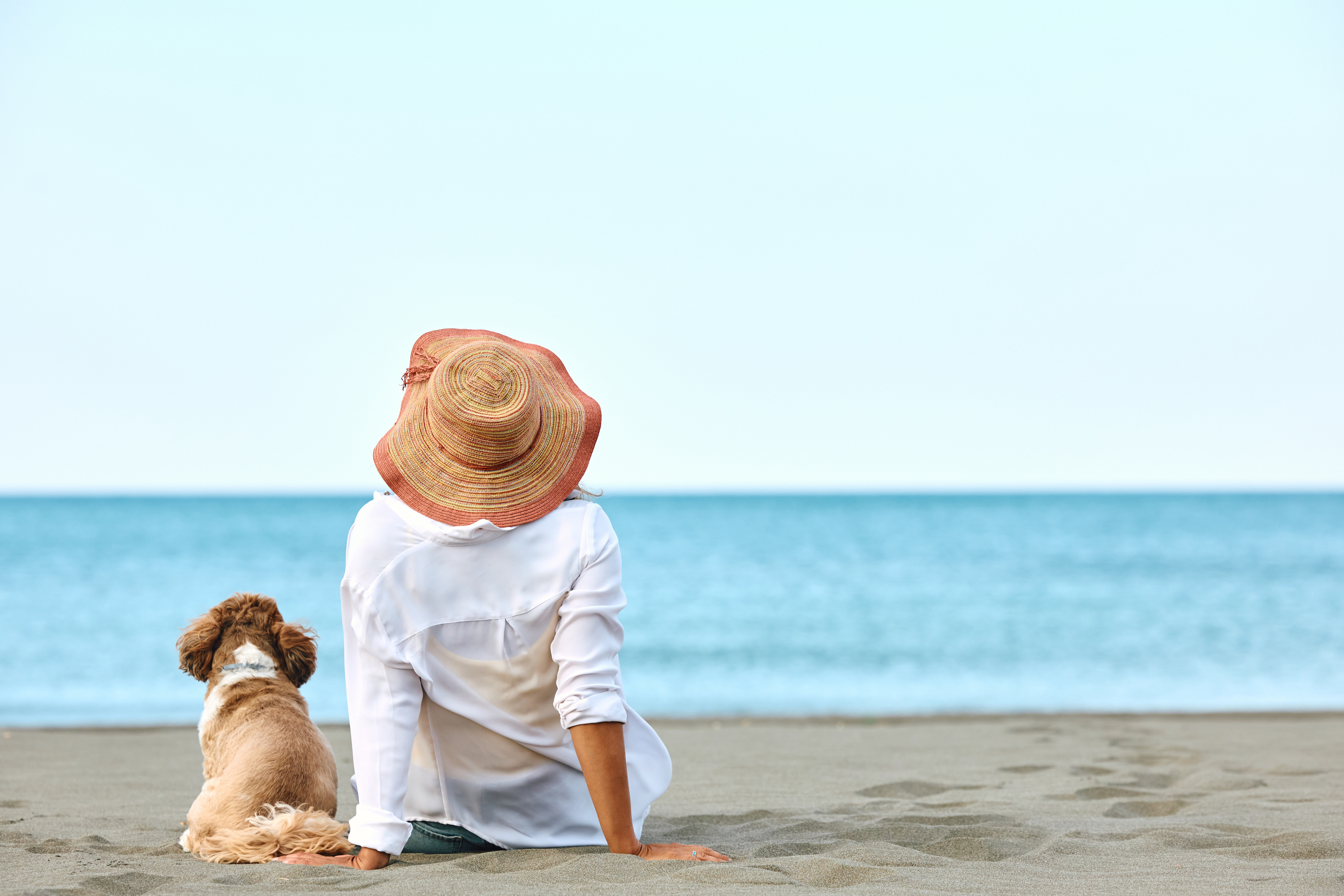 Vacances : où peut-on emmener son chien à la plage ?