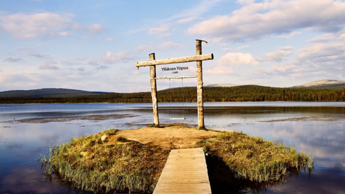 Champignons en Finlande : Le voyage passionnant à la découverte de la forêt  et de la nature 2023