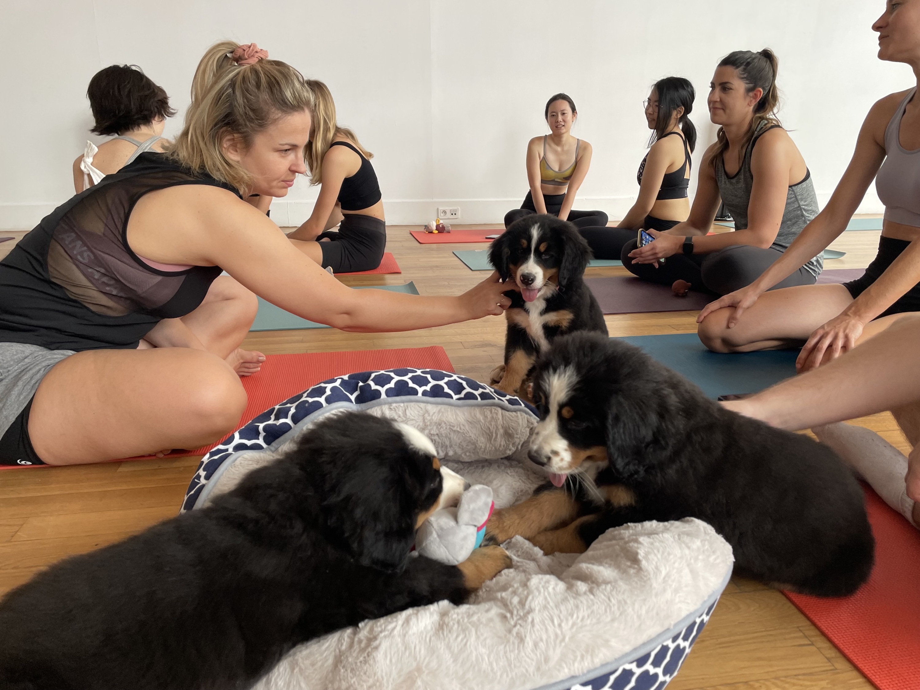 Faire du yoga avec son chien