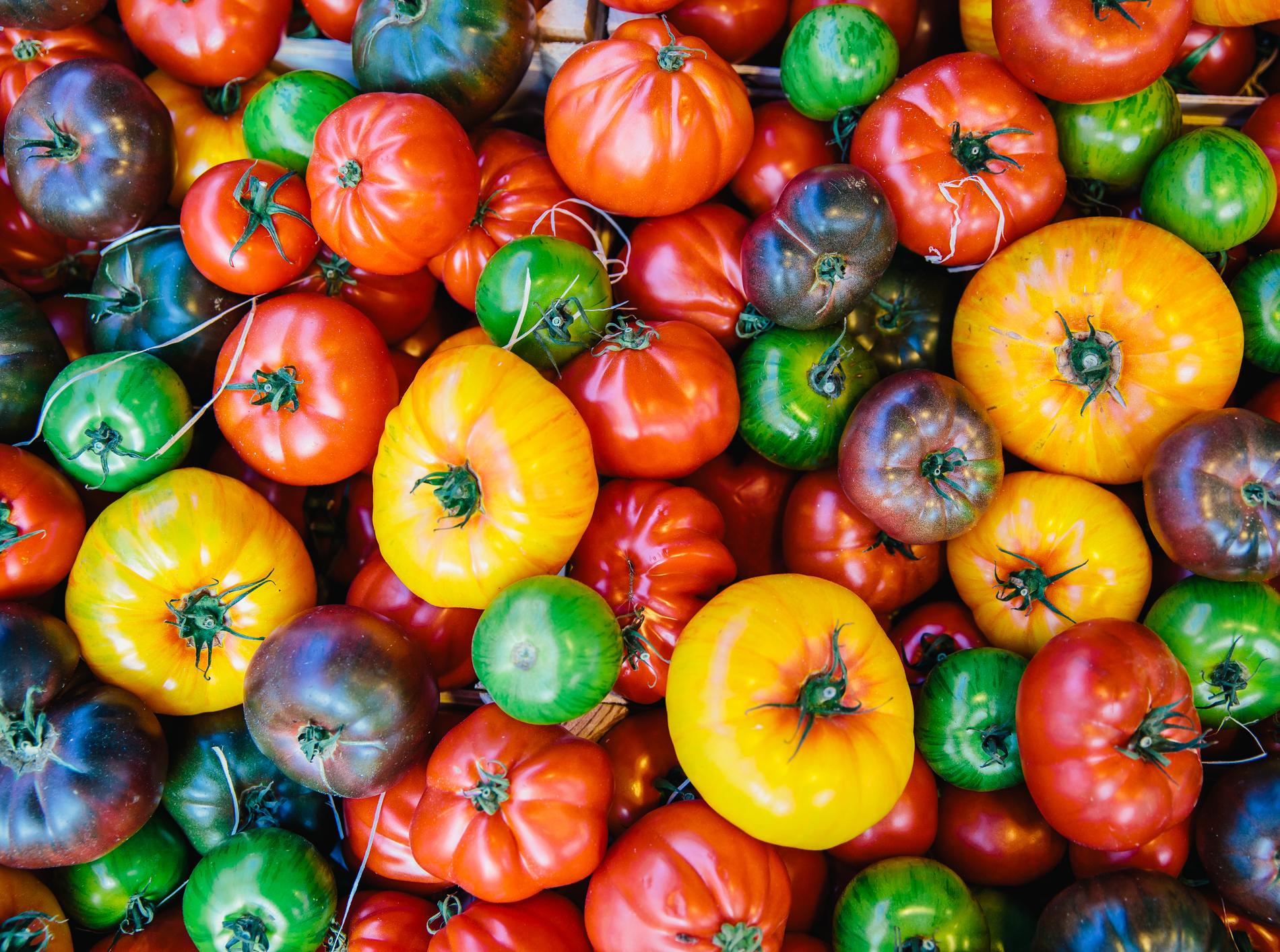 Six questions sur les tomates : quand en manger, comment les choisir ?