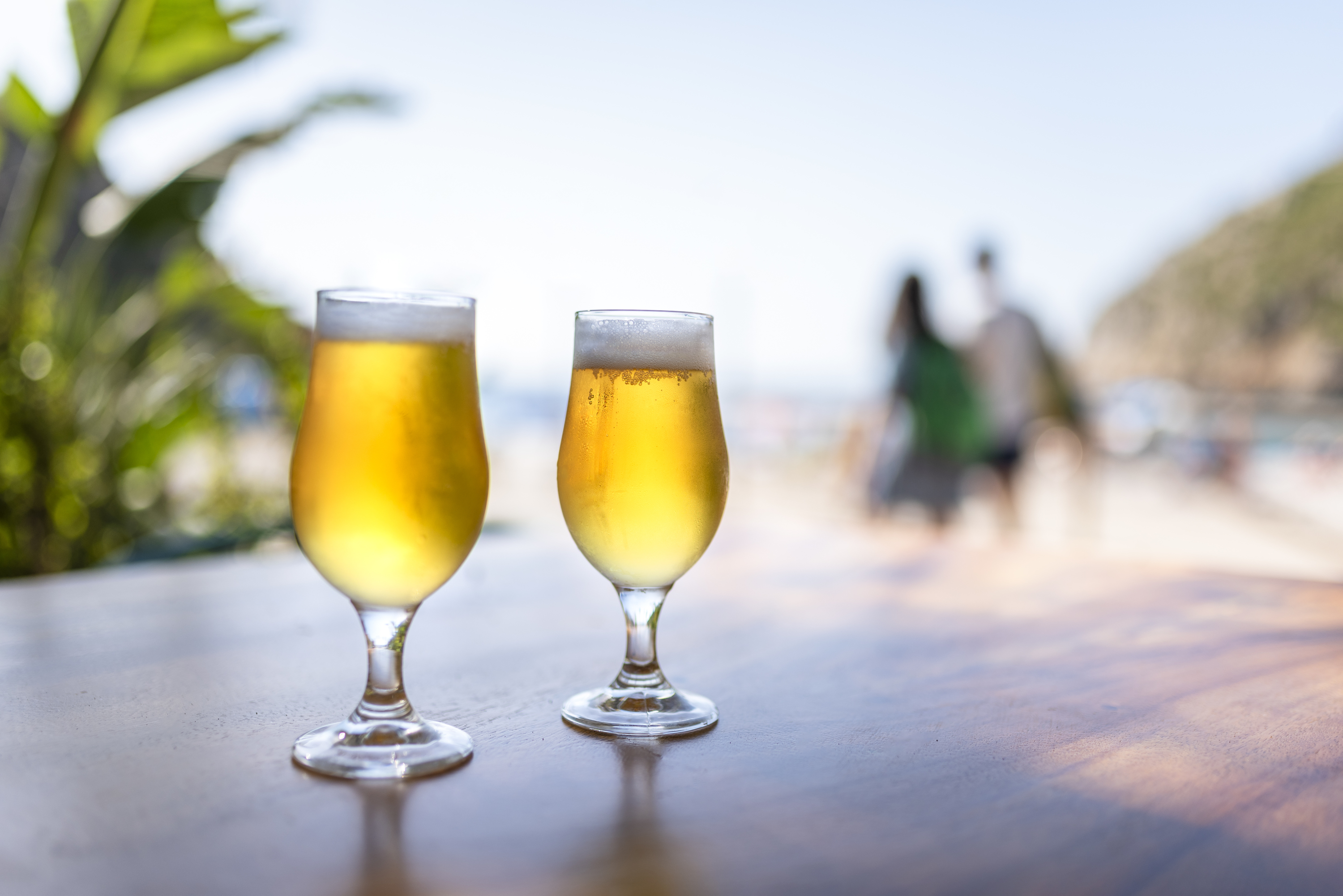 Le houblon dans la bière : pourquoi est-il indispensable ?