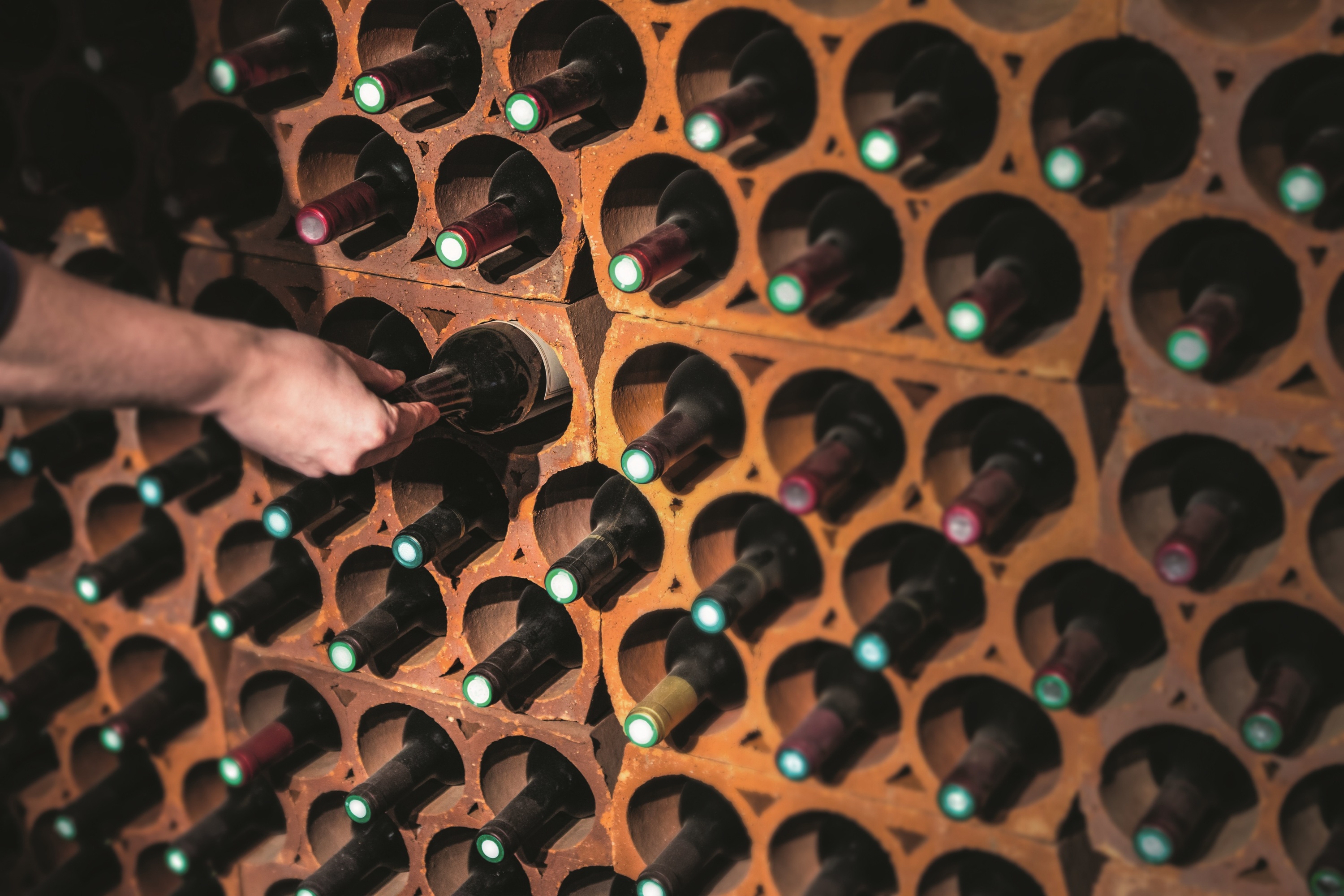 Les 5 meilleurs hygromètres de cave à vin à choisir