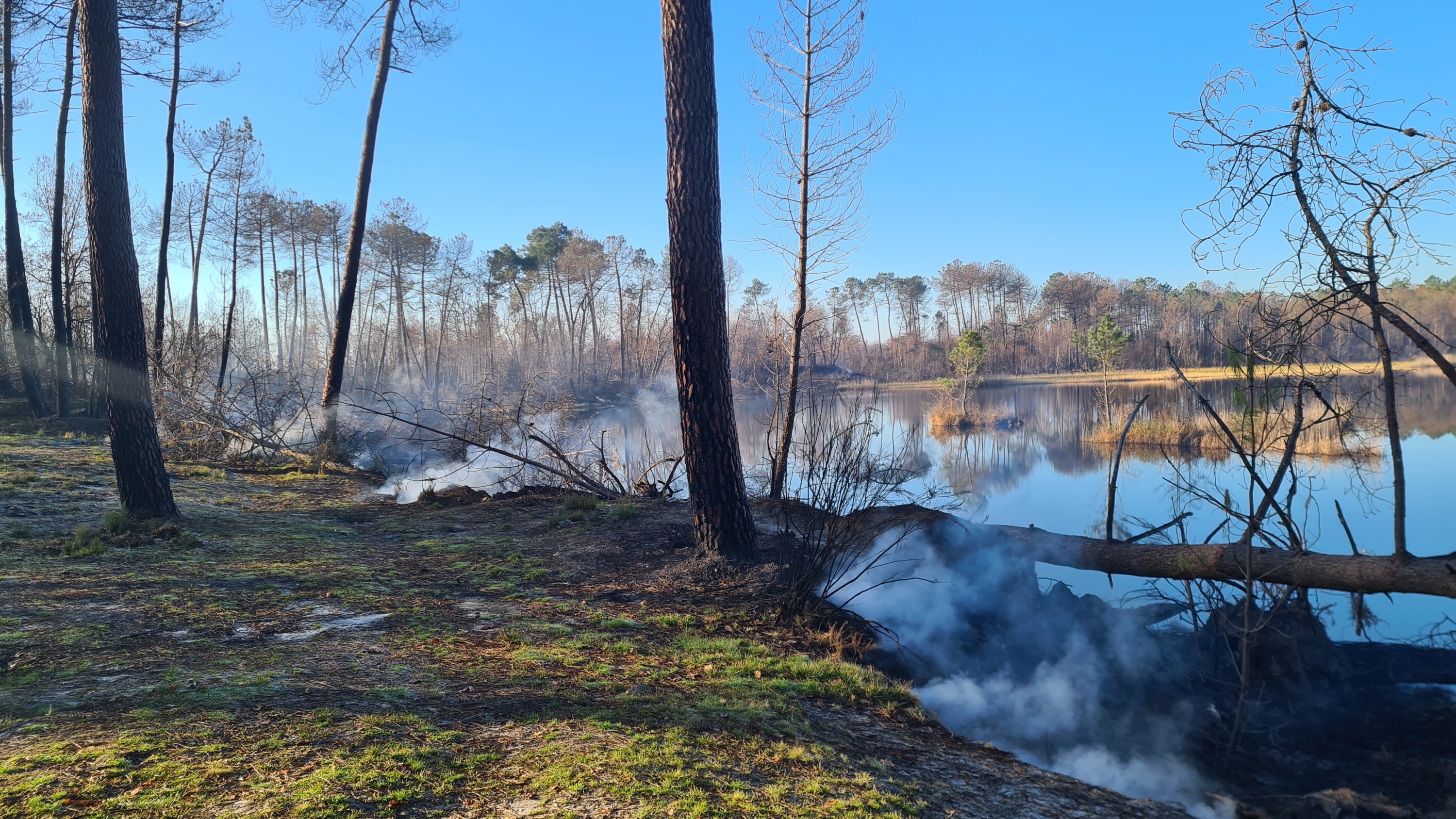 Incendie en Gironde : Plus de 10 terrains de foot brûlent chaque