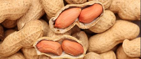 Calories et les Faits Nutritives pour Cacahuètes Non Salées Grillées à Sec