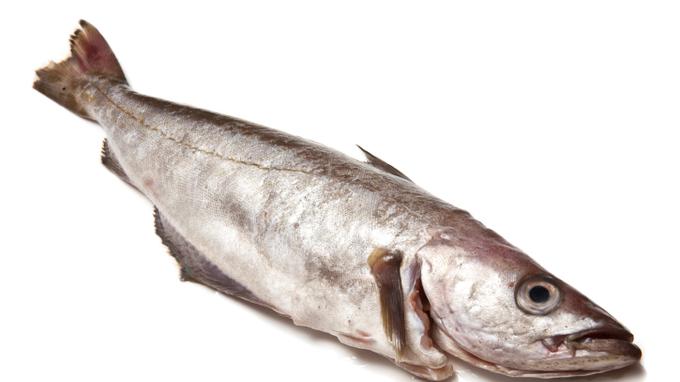 Manger du poisson trois fois par semaine réduirait le risque de