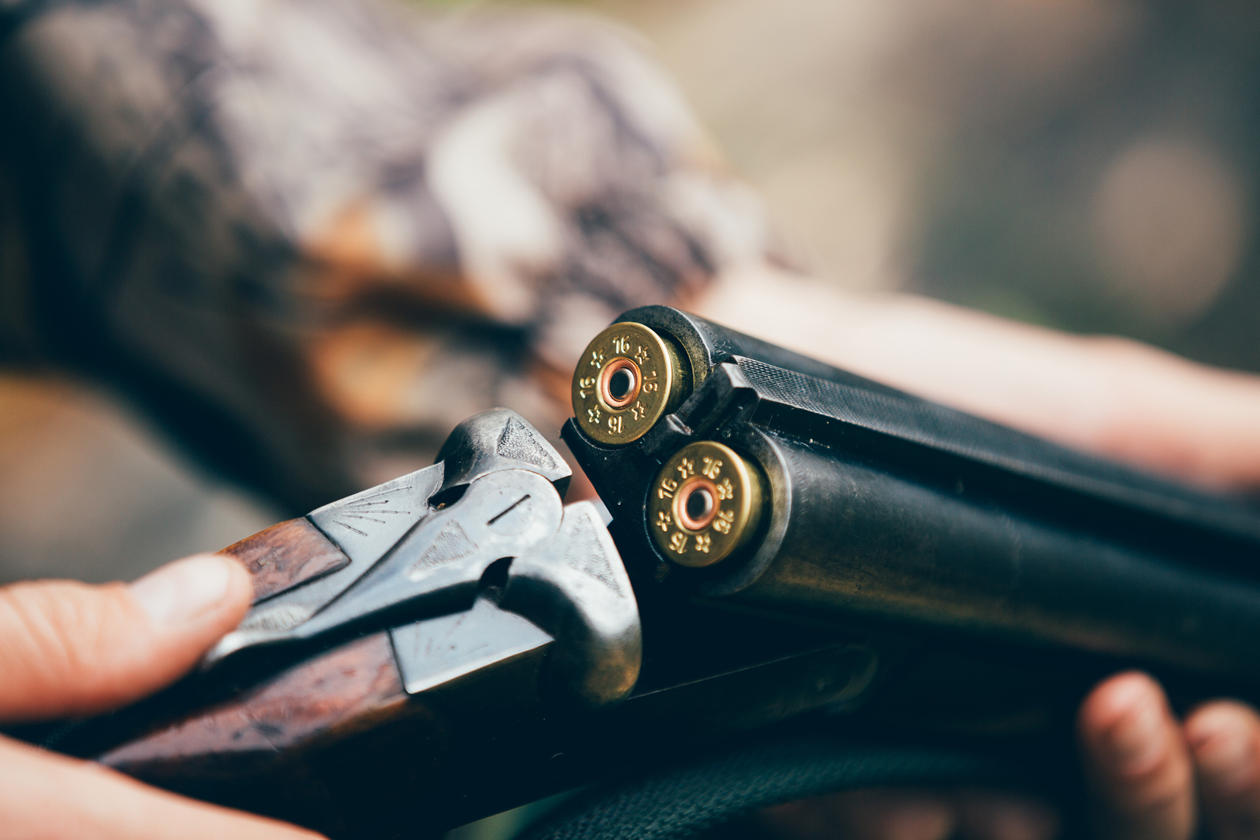 Bourgogne un septuag naire tue sa femme avec un fusil de chasse avant de se suicider