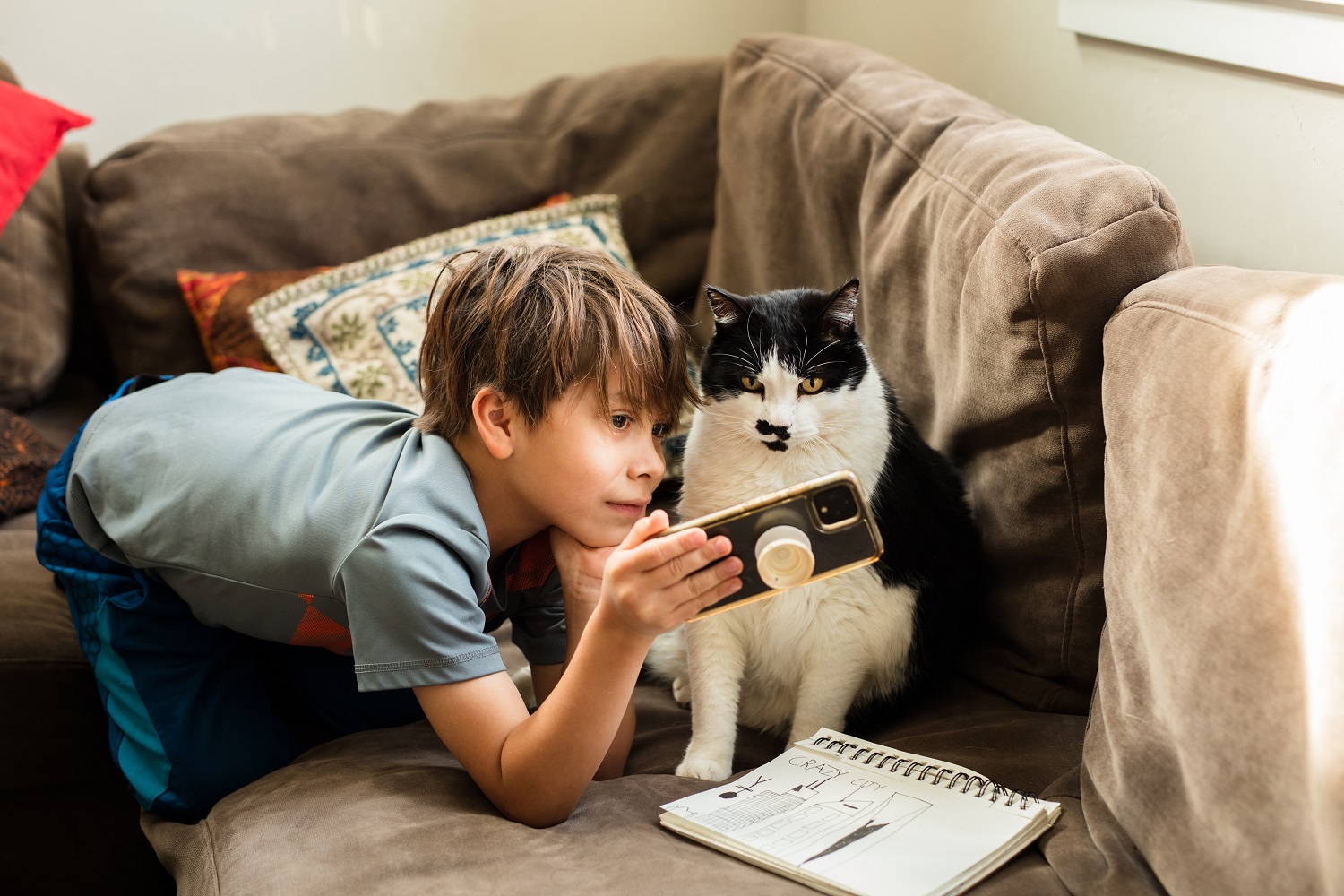 Pourquoi sommes-nous fascinés par les vidéos de chat ?