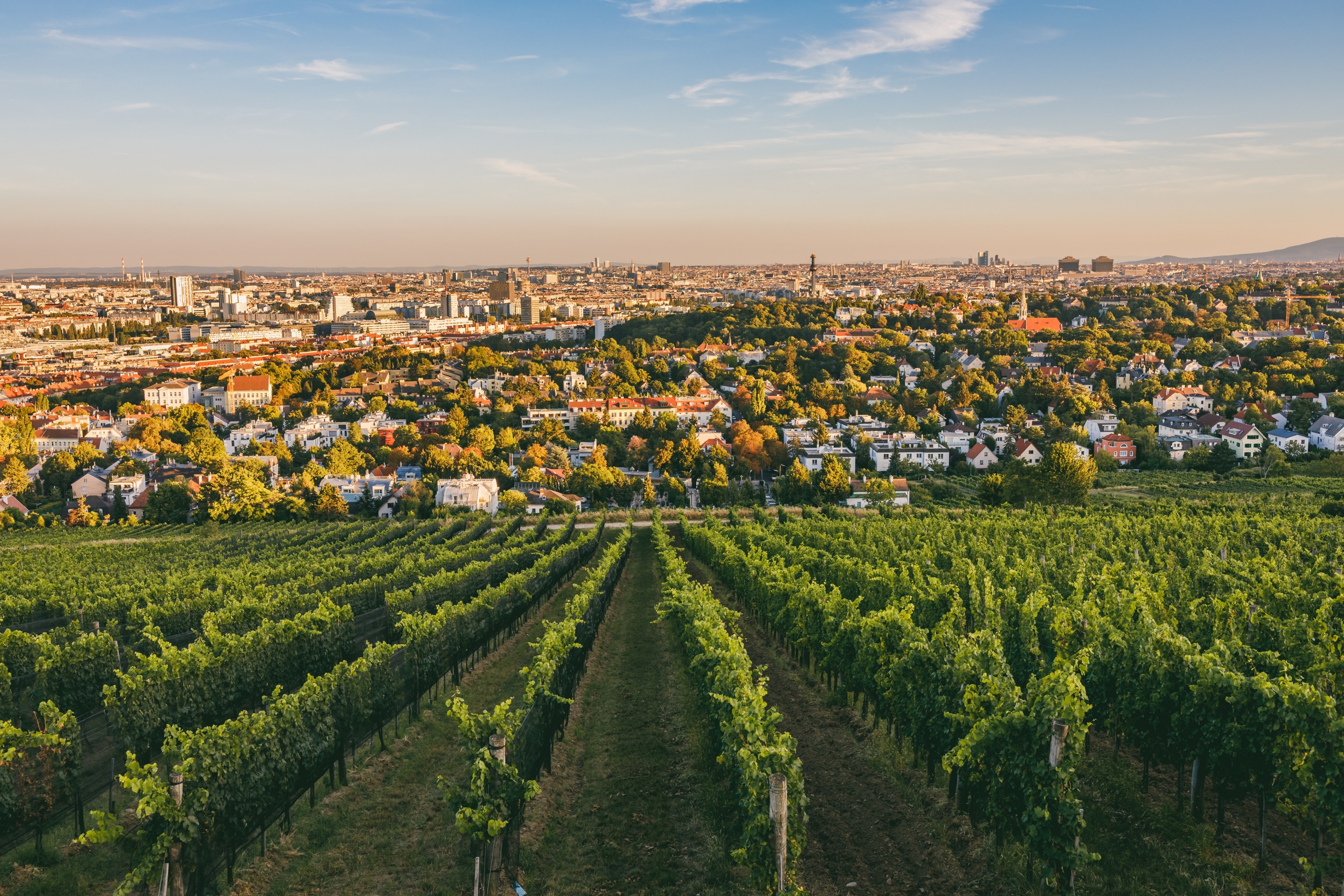 5 bonnes façons de découvrir Vienne de façon écoresponsable