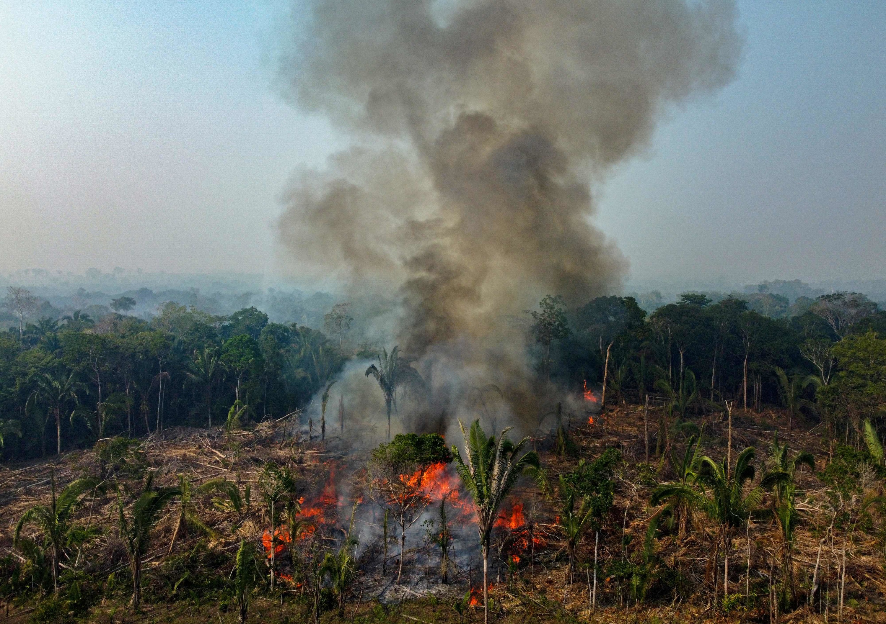 Brésil : près de 3000 feux de forêt en Amazonie, record pour un mois de février