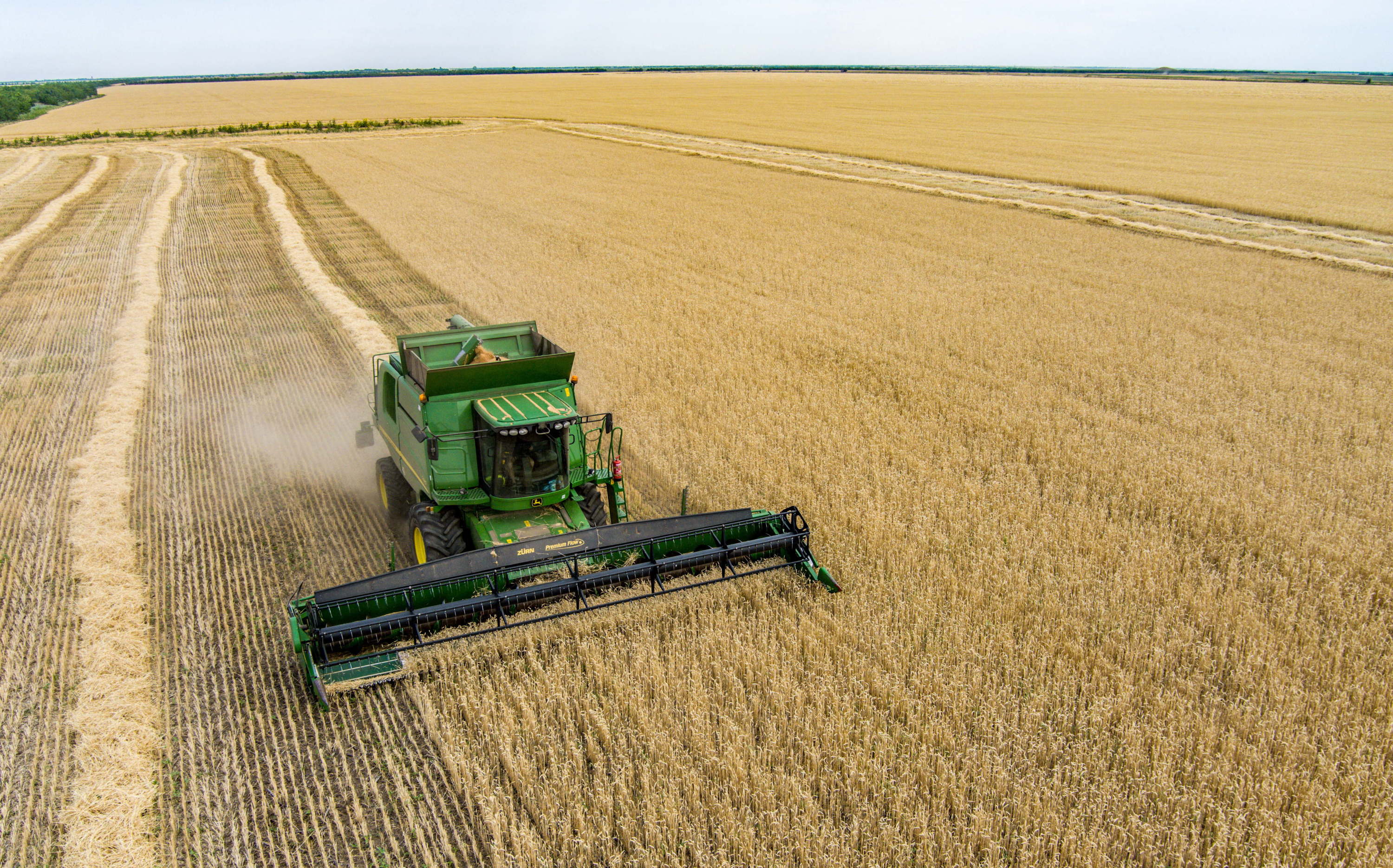 Colère des agriculteurs : l’Europe envisage de limiter les importations de céréales ukrainiennes