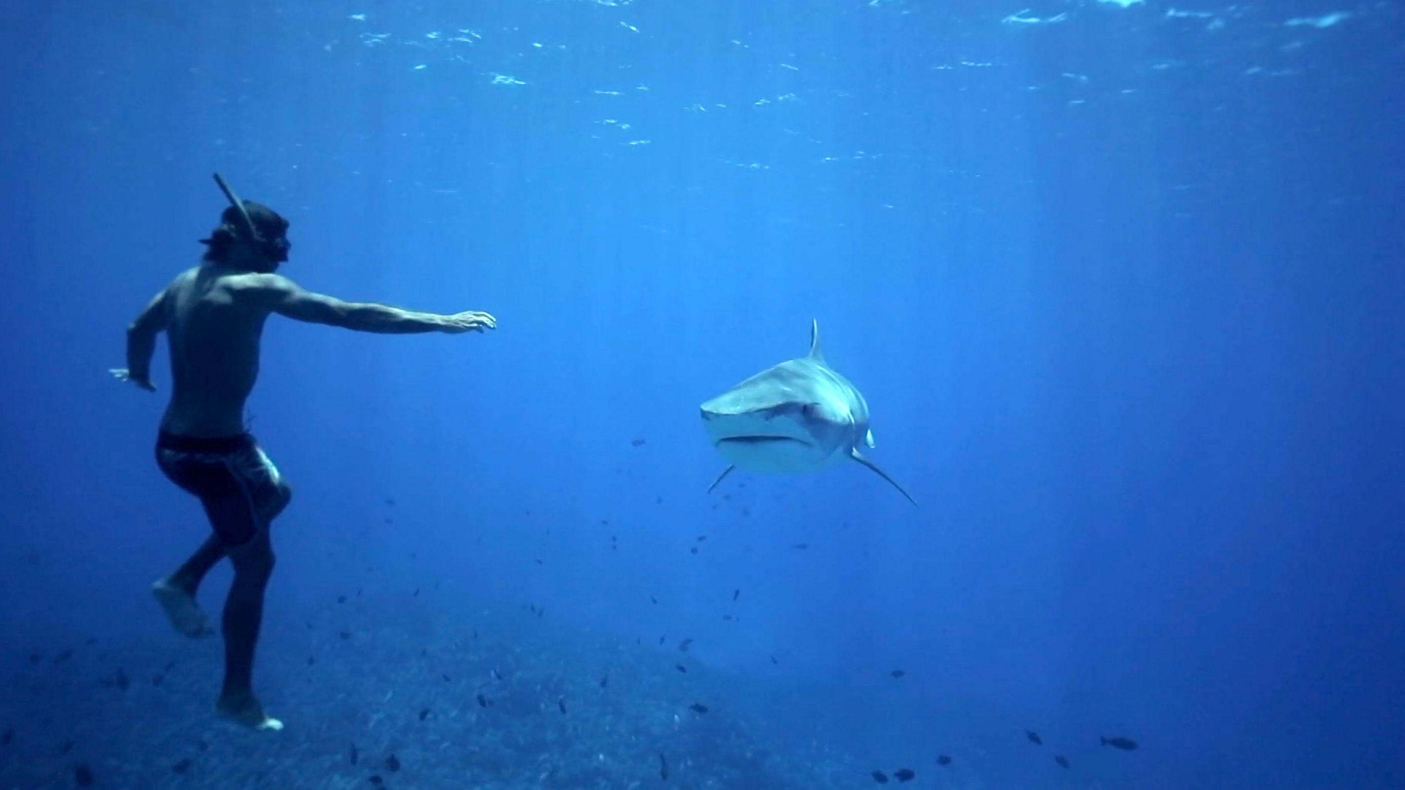 Devenir poisson le r ve abyssal de Victor Bergeon sur Canal